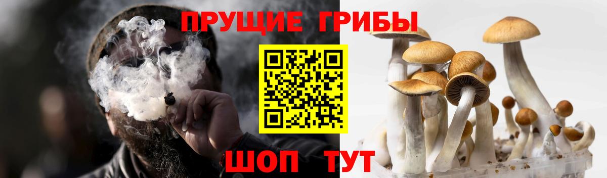 Галлюциногенные грибы мухоморы  Галлюциногенные грибы Psilocybine cubensis  Вход с VPN  Узловая 